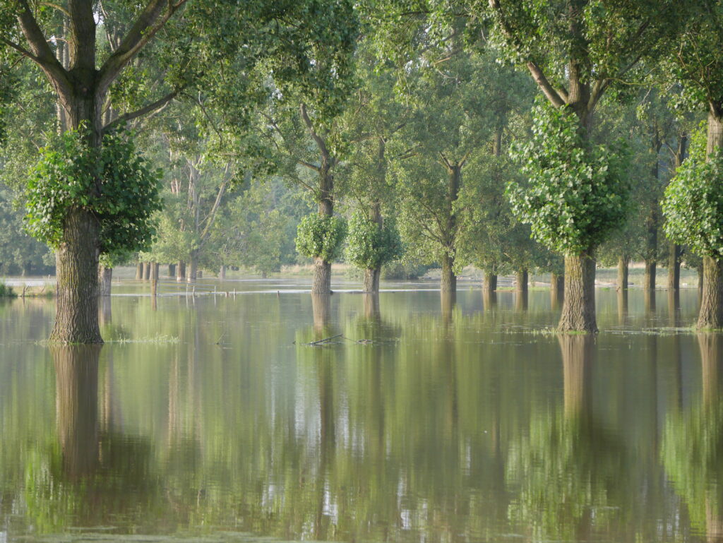 hoog water Roerdal juli 2021 Lerop