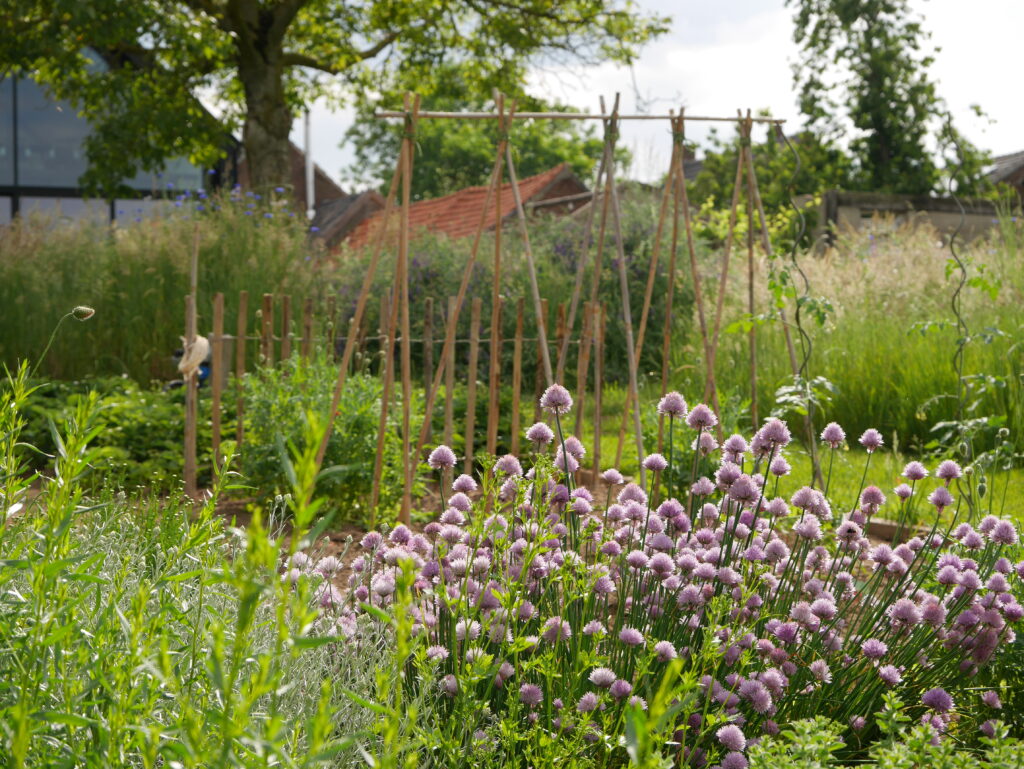 weide met moestuin de wiede Limburg