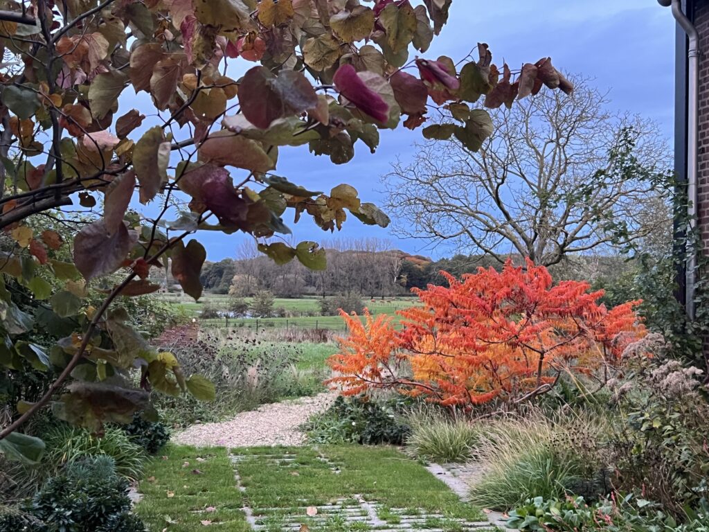 herfst tuin de wiede Limburg