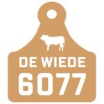 logo de wiede 6077